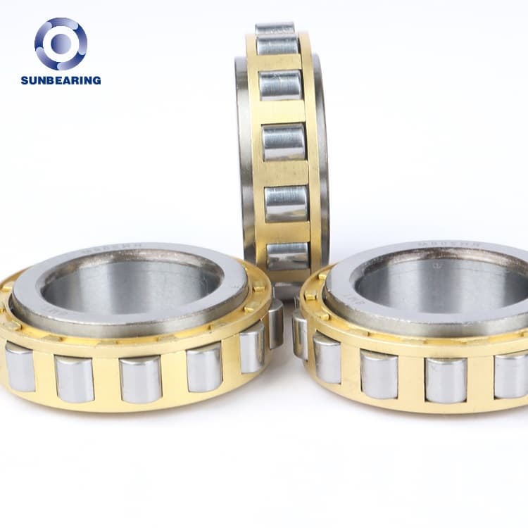 Factory Cylindrical Roller Bearing RN206